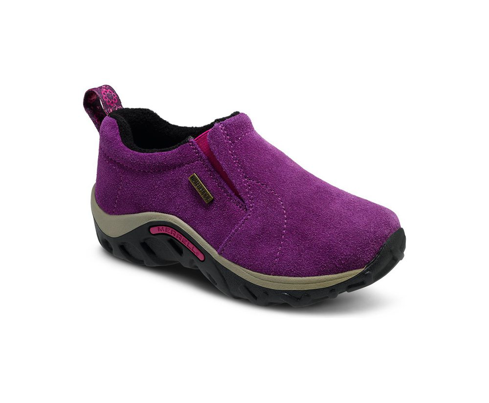 Merrell Slip Ons Purple - Jungle Moc Frosty Waterproof - Kids 71SGMQWXT